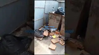 Поросята ДоДо