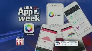 Valley App Of The Week: Fit Brains Trainer