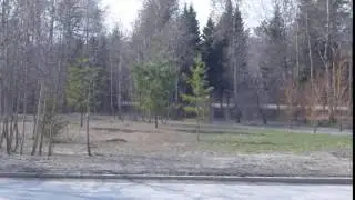 Академгородок. Ранняя весна