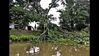 Hororový zážitek u vody - padající větve za bouřky