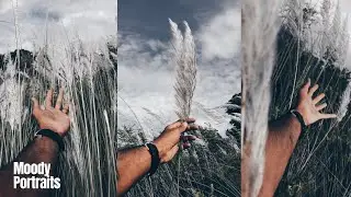 Lightroom editing | Moody Portraits Preset | @pradp________