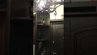 Замена двери с полностью законченным ремонтом в квартире и последующей отделкой откосов