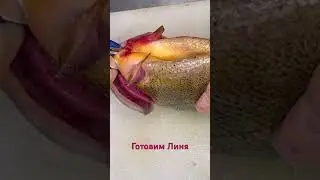 Линь рыба яркого вкуса.