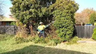 The Impossible Cleanup | Resident called me Sunday needed the job done by Tuesday!