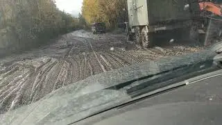 Дорога Будогощь-Любытино Новгородская обл