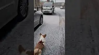 в Корее снег это редкость)