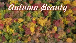 Autumn Beauty