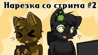 Нарезка со стрима #2