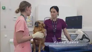 Мастер-класс «Урология/нефрология + навыки УЗД МВС для терапевта» 28-29 марта 2022