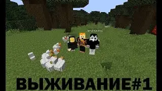 Выживание в майнкрафте№1