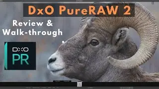 DxO PureRAW 2 - Review & Walk-through