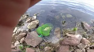Рыбалка на Солигорском водохранилище 2021 лето