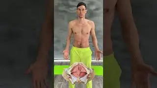 Диастаз упражнения 