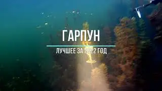 Гарпун - Лучшее за 2022 год