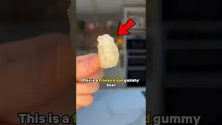 Gummy Bear vs Freeze Dried Gummy Bear