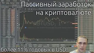 Пассивный заработок на криптовалюте - как сделать более 11% годовых в долларе на бирже BitMEX