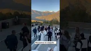 Как вам такой флэшмоб на нашей свадьбе? Каждого рассмотрели?Немного личного контента😎