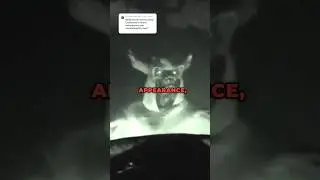 What's The Scariest Disney Animatronic? 