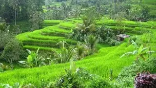 Bali, a wonderful Island