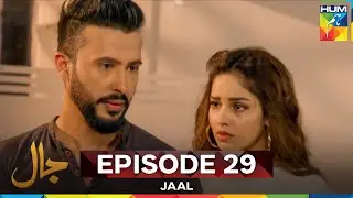 Jaal  Episode 29