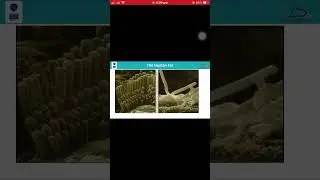 Noise hazard and control nebosh IG2 online learning lecture