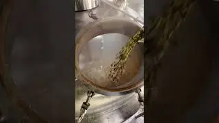 Засыпаем хмель в котел  
