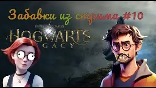 Забавки из стрима #10 Hogwarts Legacy