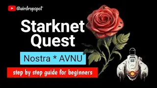 Starknet Airdrop - Starknet Nostra * AVNU Quest - Including Quiz Answers 