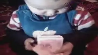 Пан щитовод