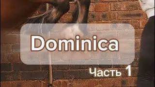 Dominica часть 1