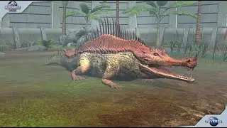 Diplosuchus! + Solid Gold Pack Opening