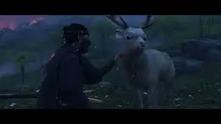 Petting everyanimal in Ghost Of Tsushima