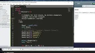 PHP Diziler