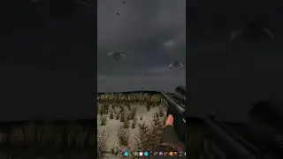 Призрачный зомби и его мухи