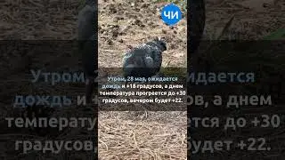 Прогноз погоды на выходные дни