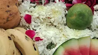 Сканда Мата ягья. 13.04.24