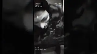 Бабка ананимус снюсоед бежит на оператора скример фнаф итс бин со лонг