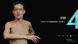 TALIKA 产品使用方法 (简体中文) - Bust phytoserum