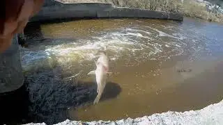 Первая весенняя рыбалка.