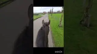 ff bïj iemand langs