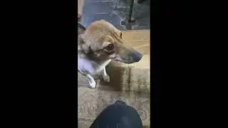 В тесноте да не в обиде