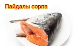 Семга  #суп #изголовысемги  #вкусный