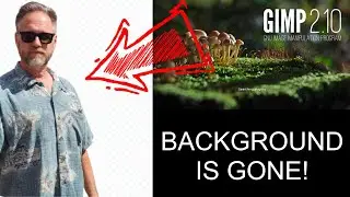 Remove Image Background Like a PRO for FREE!