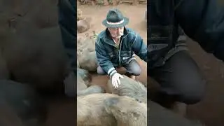 Seu Pedro E As Capivaras