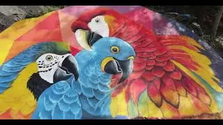 GUACAMAYAS BOYACÁ CITTASLOW