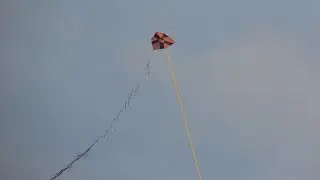 The Terror of the Kites 1 - A big mucha/murcha that cleared the sky