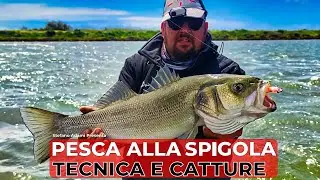 Pesca alla spigola con Stefano Adami! Scopri i segreti per le tue catture!