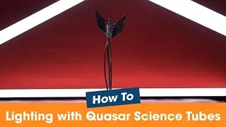 4 Ways to Light your Table Top Scene Using Quasar Science Tubes