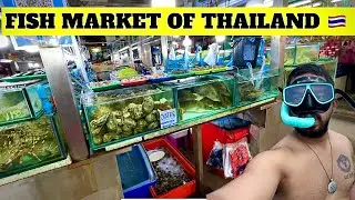 😰WEIRD SEAFOOD MARKET OF PHUKET, THAILAND 🇹🇭 | LIVE FISH MARKET |