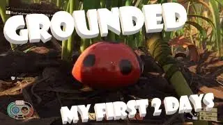 I Got Grounded- Grounded early access gameplay part 1